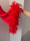 A hand is holding a red feather boa with a long, flowing feather attached to it.